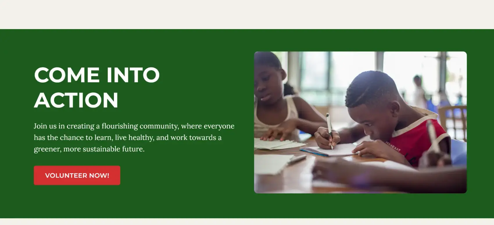 Screenshot of Hypothetical NGO Website